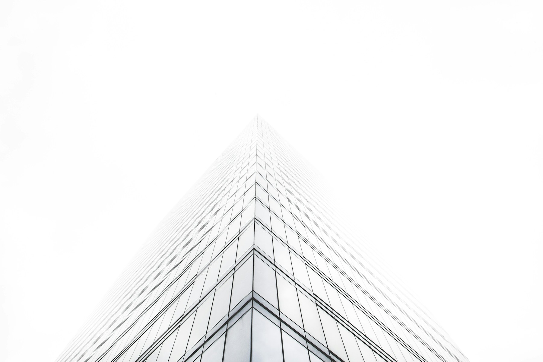 Minimal glass building disappearing into fog