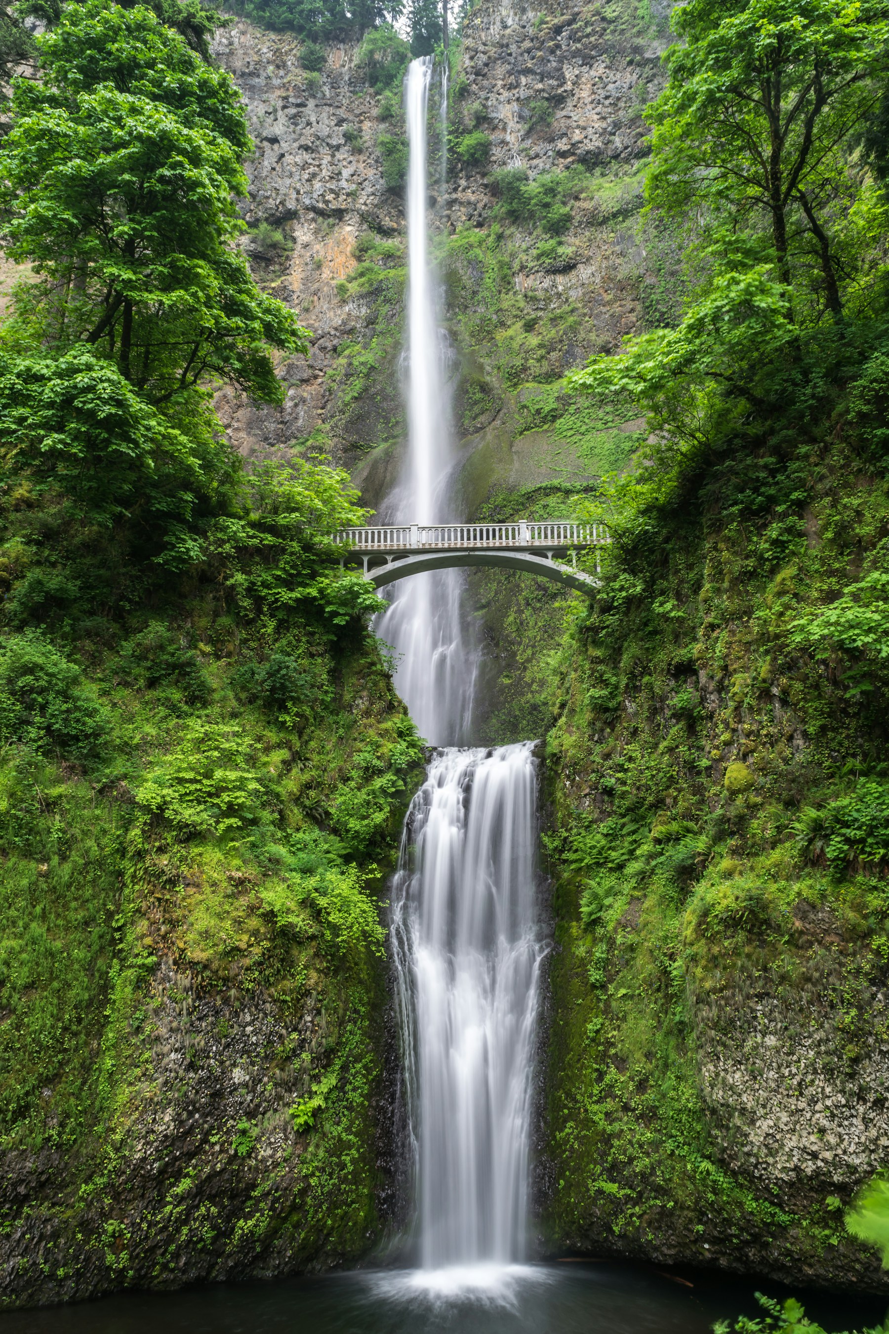 Waterfall surrounded by green forest